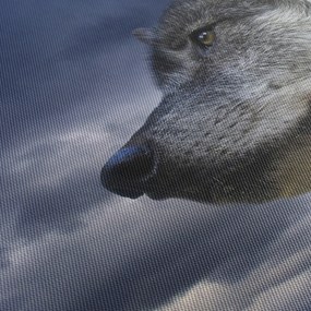 Obraz - Vlčia hlava (120x50 cm)