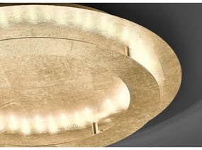 Paul Neuhaus 9621-12 - LED Stropné svietidlo NEVIS LED/24W/230V