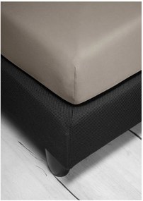 Bierbaum jersey plachta mastic - 140-160 x 200 cm