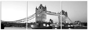 Obraz na plátne - Tower Bridge - panoráma 530ČC (120x40 cm)