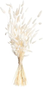 Kytica fúkačiek 60cm cream