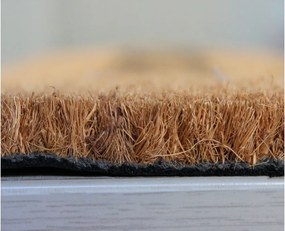 Home Elements Rohožka gumová kokosová Srdce z Tlapek - běžová 43 x 73 cm