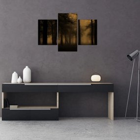 Obraz - Temný les (90x60 cm)
