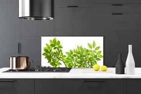 Sklenený obklad Do kuchyne Vetva listy rastlina príroda 125x50 cm