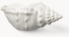 Servírovacia misa Awa