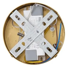 LED Luster na lanku LED/19W/230V 3000K