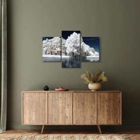 Obraz - Snehobiele stromy (90x60 cm)
