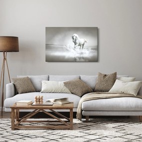 Obraz - Biely kôň (90x60 cm)
