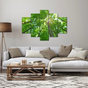 Obraz - Les (150x105 cm)