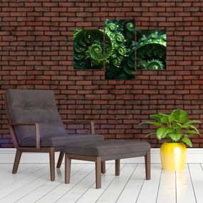 Obraz - Špirály (90x60 cm)
