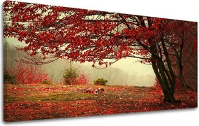 Obraz na stenu PANORÁMA STROMY ST017E13