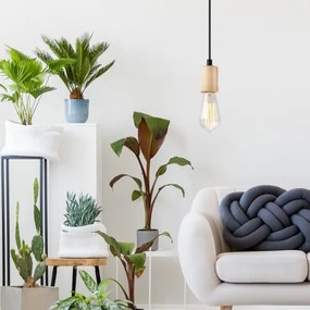 Luster na lane LEON 1xE27/60W/230V