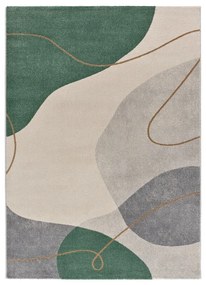 Zelený koberec 120x170 cm Edesa – Universal