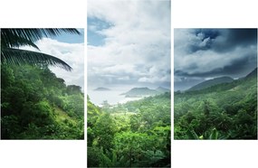Obraz - Seychelská jungle (90x60 cm)