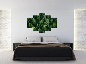 Obraz - Les (150x105 cm)