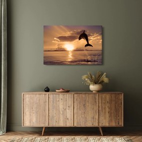 Obraz - Delfín pri západe slnka (90x60 cm)