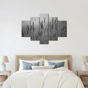 Obraz - Steblá trávy (150x105 cm)