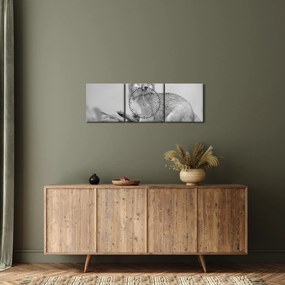 Obraz - Líška šedá (s hodinami) (90x30 cm)