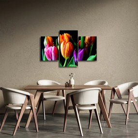 Obraz tulipánov na čiernom pozadí (90x60 cm)