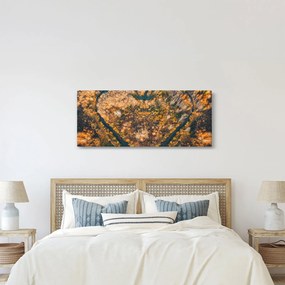 Obraz - Rieka v tvare srdca (120x50 cm)