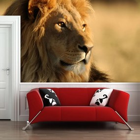 Sablio Tapeta Lev 3 - 336x220 cm