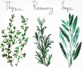 Obraz na plátne Bylinky, 28x28 cm%