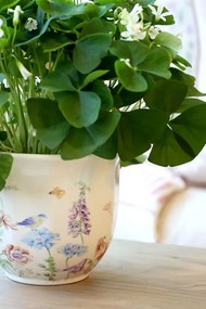 Krémový antik keramický kvetináč s kvetmi Papillon Blossom - Ø 14*12 cm