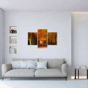 Obraz - Jeseň Alej stromov (90x60 cm)