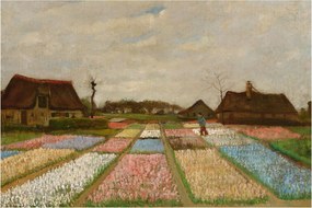 Obraz - Vincent van Gogh, Flower Beds in Holland, reprodukcia (90x60 cm)