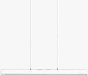 Závesné svietidlo Hazel Branch