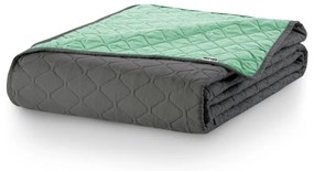 Zelený pléd z mikrovlákna DecoKing Axel, 170 × 210 cm