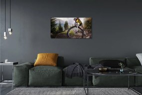 Obraz canvas Cloud na horskom bicykli 120x60 cm