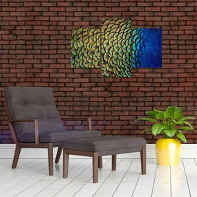 Obraz - Pávie perie (90x60 cm)