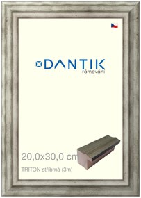 DANTIK rám na obraz 20x30 | TRITON stříbrná (Sklo Čiré)