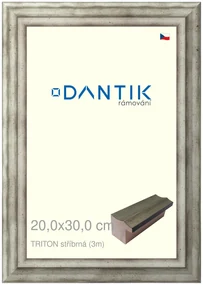 DANTIK rám na obraz 20x30 | TRITON stříbrná (Sklo Čiré)