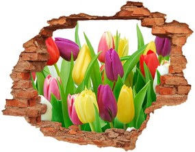 Fototapeta diera na stenu 3D Farebné tulipány nd-c-12652067