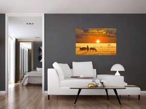 Obraz - Zebry so západom slnka (90x60 cm)