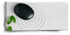 Sablio Obraz Listy a kameň - 110x50 cm