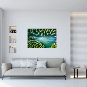 Obraz - Hmlou zahalený les (90x60 cm)
