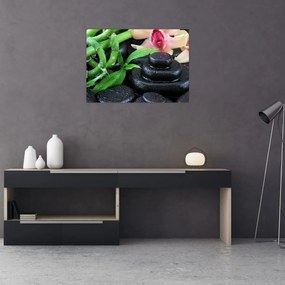 Obraz - Kamene a orchidey (70x50 cm)