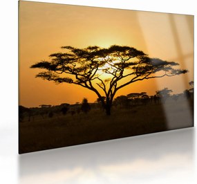 Sklenený obraz - Africká savana (70x50 cm)