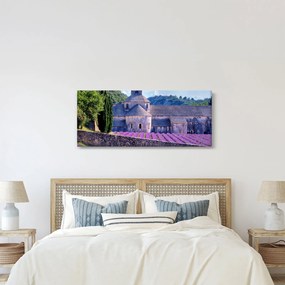 Obraz - Levanduľové pole (120x50 cm)