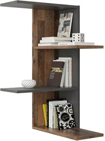 Sconto Nástenný regál HAARLEM hnedá