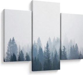 Obraz - Zahmlený les (90x60 cm)