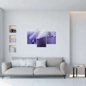 Obraz - Okvetný lístok s kvapkami (90x60 cm)