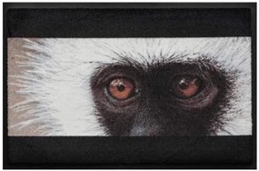 Premium rohožka - zvieratá  - opica (Vyberte veľkosť: 60*40 cm)