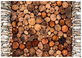 Tapeta na stenu Wooden Gate