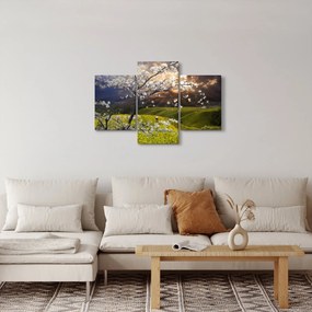 Obraz - Rozkvitnutý strom v krajine (90x60 cm)