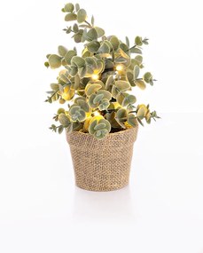 Weltbild LED umelý Eukalyptus v kvetináči