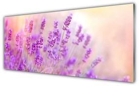 Obraz plexi Levanduľovej pole slnko kvety 125x50 cm